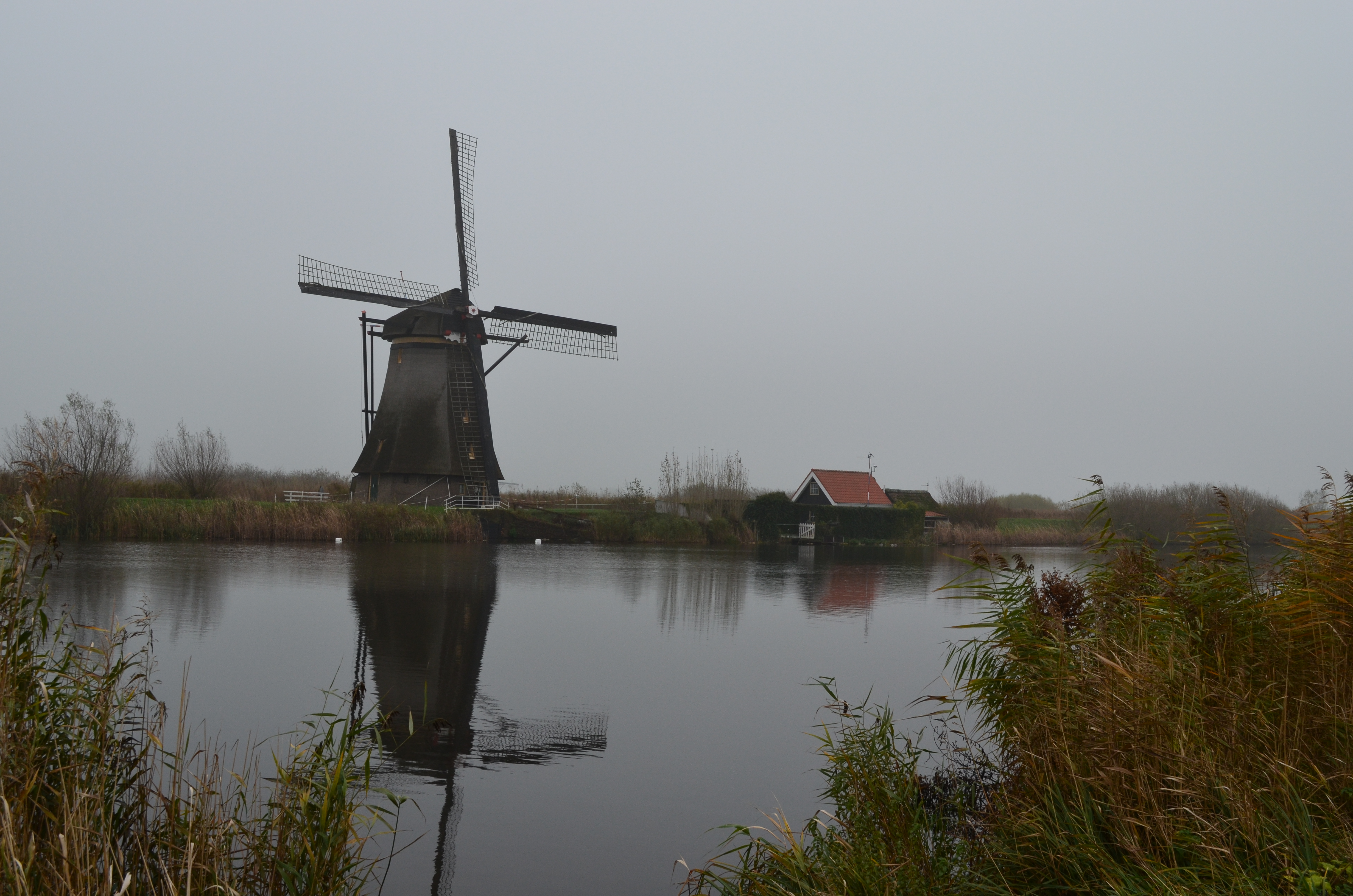 ./2017/19 - Viking Lif/12 - Kinderdijk, The Netherlands/DSC_0288.JPG